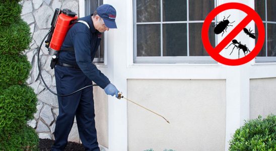 Vakfıkebir Fare İlaçlama böcek ilaçlama ve haşere kontrolü — ilaclama-tr.com